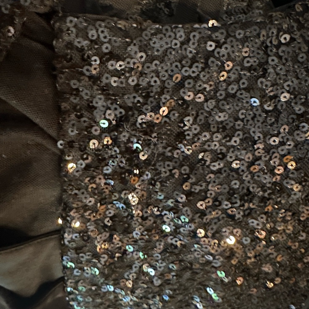 R&M RICHARDS Sequined Lace dress 16W NWT - Picture 14 of 15